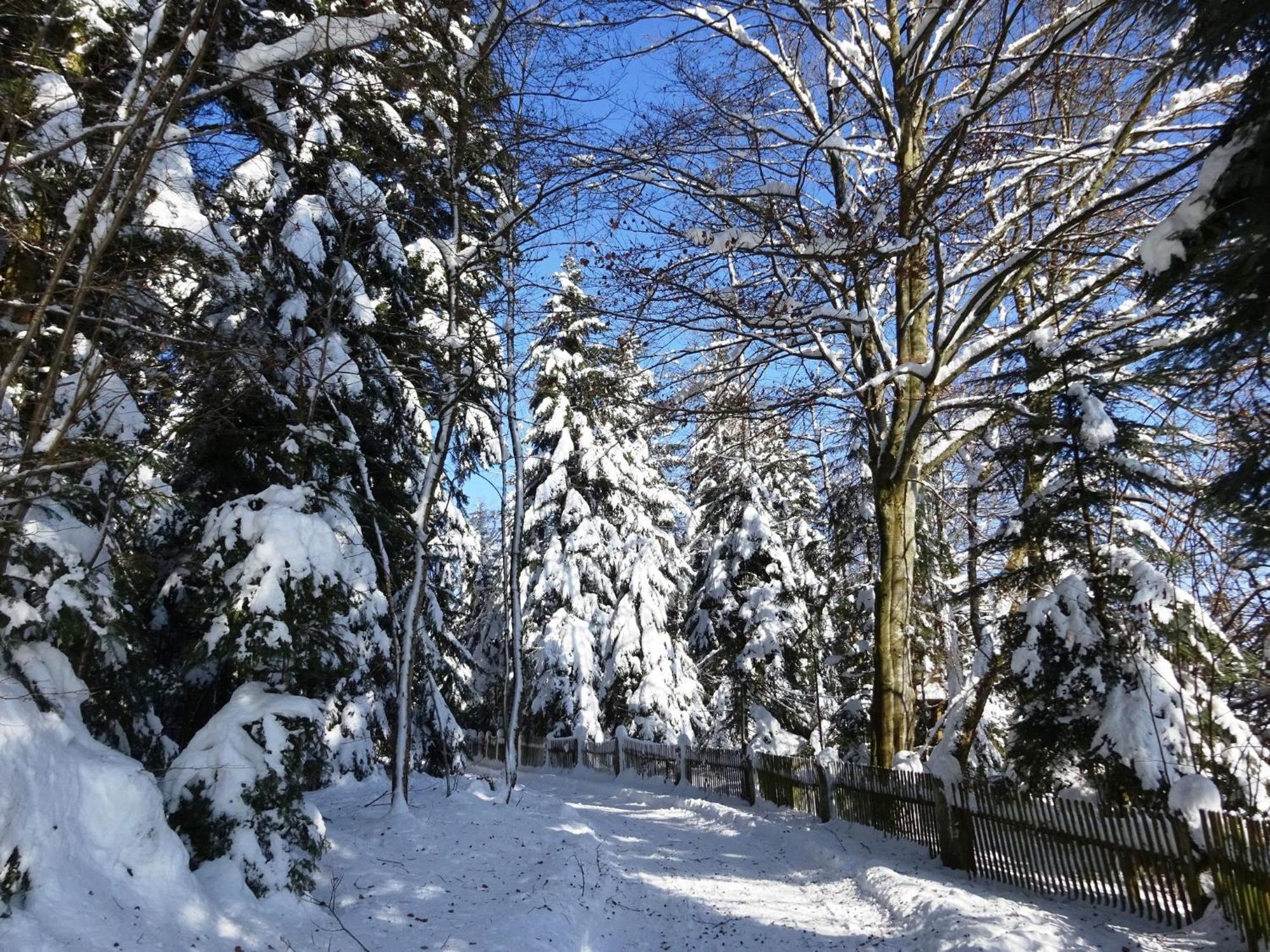 Holiday Home In Lossburg Near The Ski Area Luaran gambar
