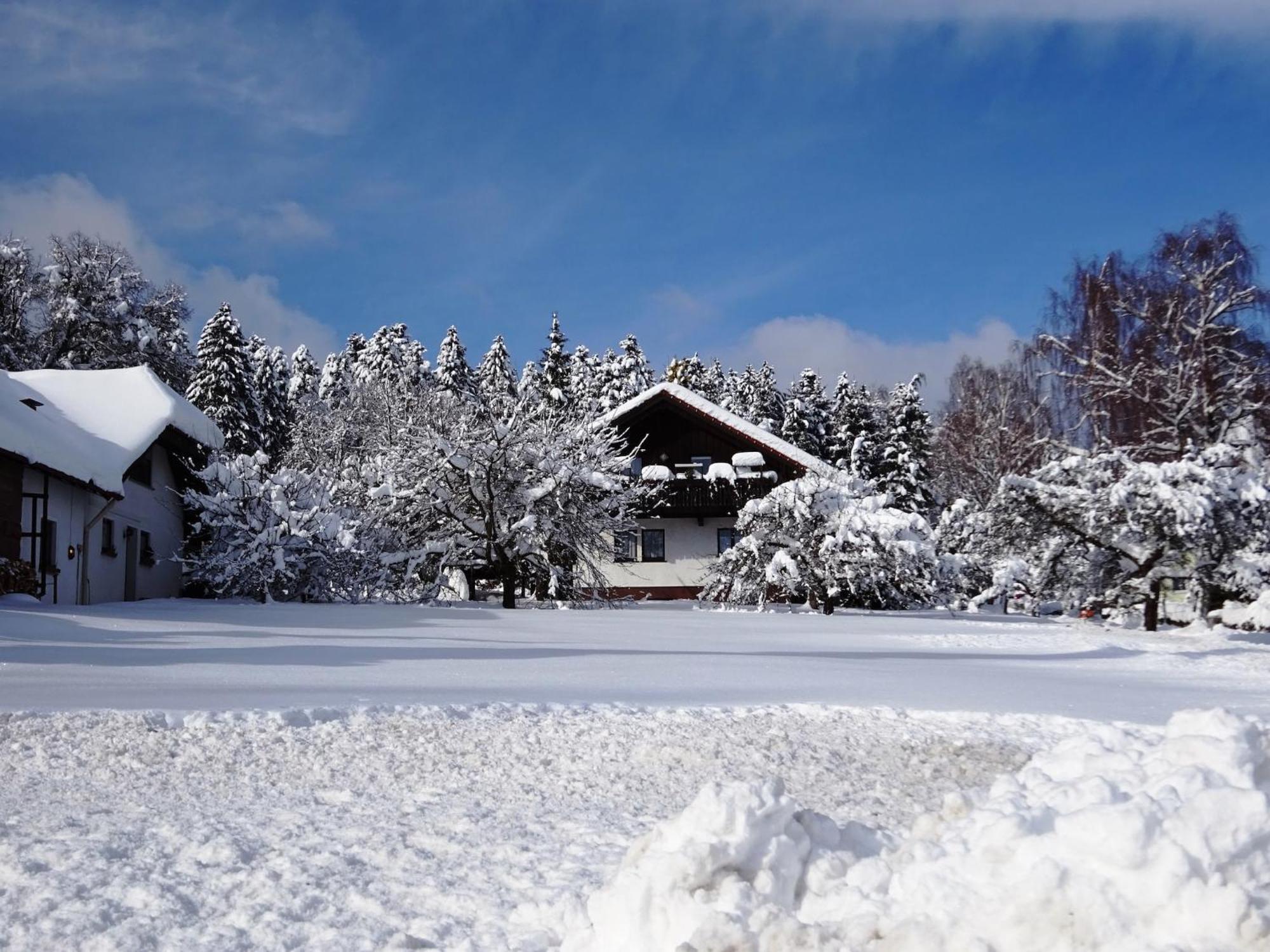 Holiday Home In Lossburg Near The Ski Area Luaran gambar